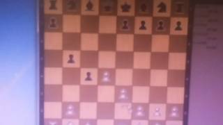 Qween gambit, Թագուհու գամբիտ, Ферзовий гамбит