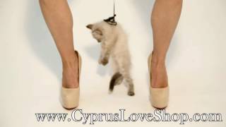 Gballs 2 Kegel Pleasure and Training System CyprusSexShop1