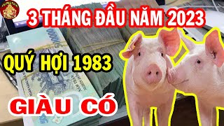 Vận May Ập Đến Tuổi Quý Hợi 1983 Giàu Nhanh Chóng Mặt Đầu Năm 2023 Nổ Lộc Liên Tiếp