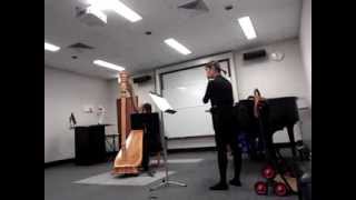 Flute and Harp concerto by Mozart - first movement