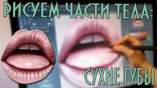 Рисуем части тела: как рисовать сухие губы в PHOTOSHOP / Sketch + Coloring | SPEEDPAINT