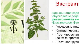 НОВИНКА ПРОПИОНИКА ФОРТЕ Часть 1. 24.01.2019 г.Анна Чеснокова