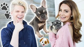 Surprising My Girlfriend With A New Puppy!