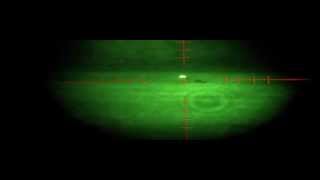 Fox shooting with NV scope
