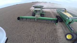Church Farms bean harvest