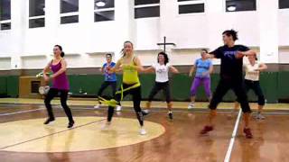 Zumba Fired up Pitbull