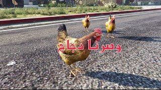 قراند 5 ~ سباق دجاج GTA V