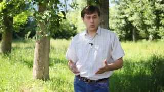 Медитация - глубже не значит лучше. Главное - осознанность процесса.