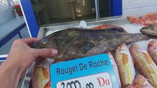 Toujours avec les plus beaux poissons de la ville d'Annaba