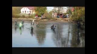 vylov mitrovice 10-2013