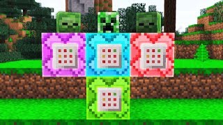 DON'T SPAWN THIS IN MINECRAFT...