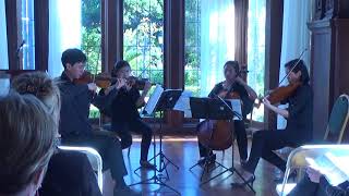 Theresa Lee   Lumos String Quartet