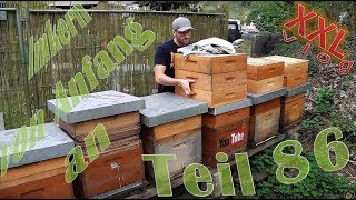 Imkern von Anfang an - Teil 86 - Erster Honigraum 2018 !! XXL Vlog