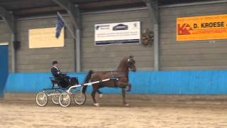 tuigpaard stuurboord 2012