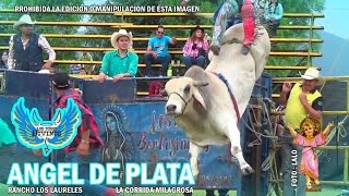'' POTRERO GTO'' LOS TOROS DIVINOS vs RANCHO SAN JUAN.