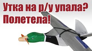 Радиоуправляемая утка упала? Полетела! | Хобби Остров.рф