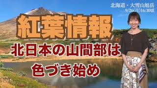 紅葉情報2022 北日本の山間部は色づき始め 週末は紅葉狩り日和