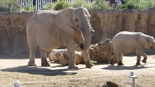 ZOO ADVENTURE