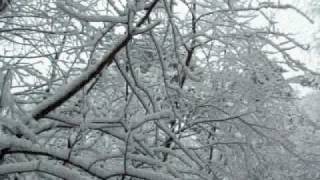 Walking Through a Winter Wonderland