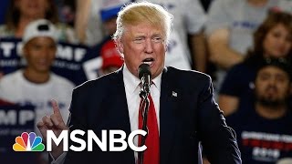 Hillary Clinton Campaign: Donald Trump 'Peddles Lies' | MSNBC