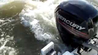 Quicksilver 500 Pilothouse & Mercury F80 ( Rhein, Neuss)
