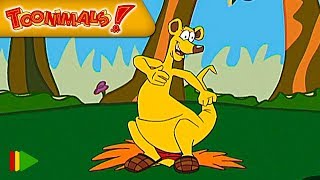 Тунималсы - 18 - Кенгуру | Мультфильмы |