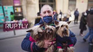 Spain: Hundreds of pets receive blessing of patron saint San Anton in Madrid