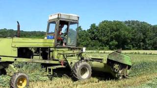 Harvesting wheat silage Romania