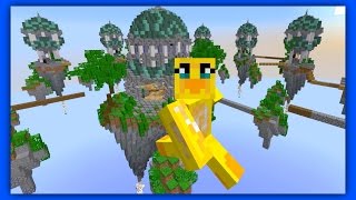 Server Surfing : Hive - Sky Wars