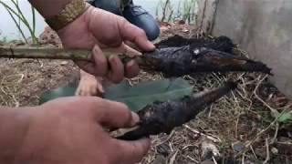 Cá Chuối nướng rơm thơm ngon bổ dưỡng. video hay quá không xem hơi phí.