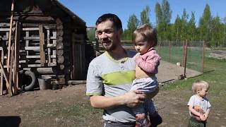 Немного о нашем опыте содержания домашних птиц