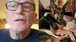 Dog saves life of man who had just adopted her