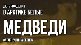 День рождения в Арктике, белые медведи заглянули на огонек