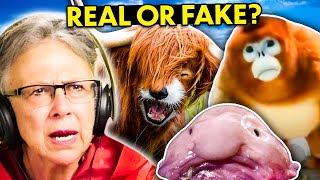 Can YOU Tell If These Animals Are Fake? | Real Vs. Fake Challenge! | React