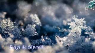 Gust de iarnă
