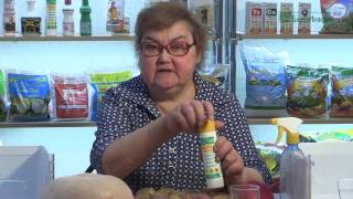 "Фитоспорин-М ЗОЛОТАЯ ОСЕНЬ" и "Фитоспорин-М РеаниматоР"  - применение
