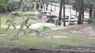 Camp Winnataska Scenery