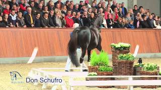 Blue Hors Don Schufro 2014