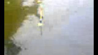 Смотреть Рыбалка Видео. Ловля Рыбы На Оке - Ловля Рыбы На Оке Видео