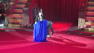 Реприза Магия абсурда. Клоунский дуэт Mad Comedians. Россия