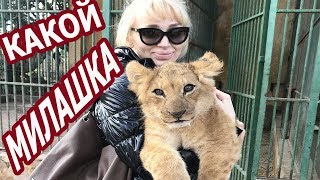 ВЫ ТАКОГО НЕ ВИДЕЛИ ? ? ?? ЕГИПЕТСКИЙ ЗООПАРК
