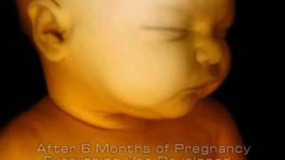 'Baby Growing in Mommy's Womb' Life is a Miracle !!! [See/Share/Care]