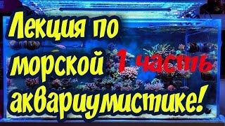 Морской аквариум для начинающих! Теплая дружественная лекция, беседа о морском аквариуме!