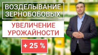 Зернобобовые культуры - технология возделывания