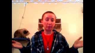 Trans Questions (Video 1)