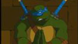 Teenage Mutant Ninja Turtles 2003 - Bio: Michelangelo