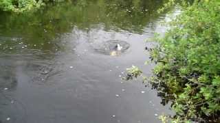 FISHING the DEEP HOLE