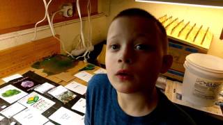 Sorting Seeds