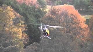 T-REX550E DFC-2012.12.02