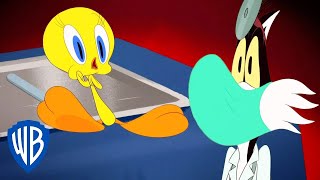 Looney Tunes en Latino | Tweety en el médico | WB Kids